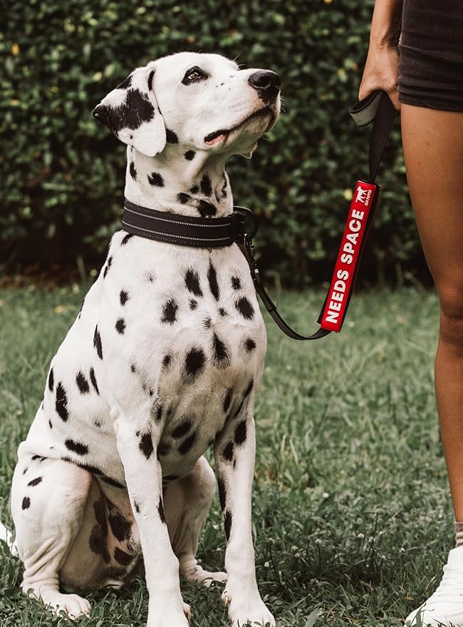 Tuff Pupper Waterproof Leash Sleeve | Fits Any Standard Size 1 Inch Wide Leash | Dual Sided Message | Durable Neoprene & Silicone | Odor & Stink Proof | Easy Secure On & Off (2 Pack, Needs Space)