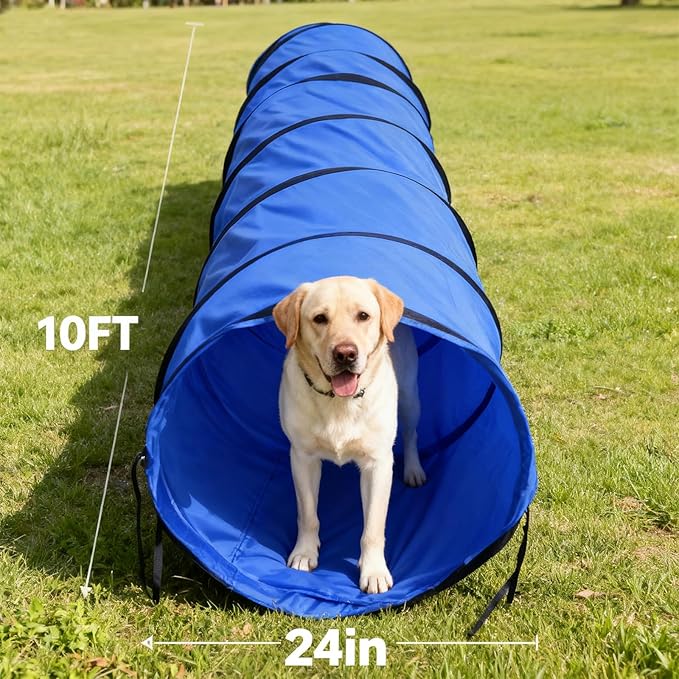 Dog Agility Tunnel with Carry Bag and Ground Spikes, Foldable 10-Foot Tunnel for Dog Training, Dog Agility Equipment for Outdoor, Backyard, Indoor Use, KINETOVOLTA