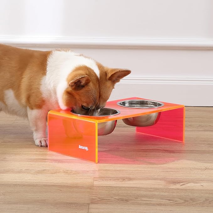 THE LICKER Store DBL2000E Keaton 5" Small/Medium Modern Acrylic Rectangular Elevated Pet Feeder with 20oz 2-Stainless Steel Bowls, Pink/Chrome