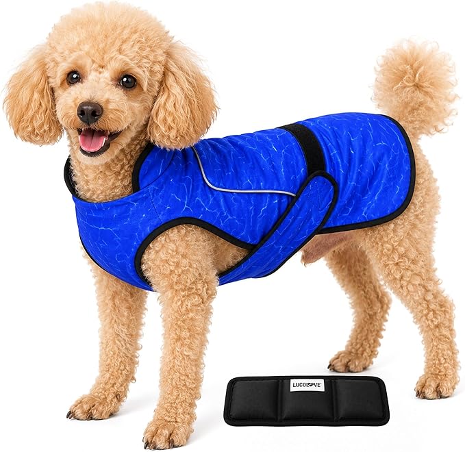 Dog Cooling Vest with Ice Pack – 2-Layer Evaporative Cooling Jacket with High Collar, UV Protection & Size-Matched Ice Pack – Cooling Vest for Dogs for Hot Weather (Blue Aqua, X-Small)
