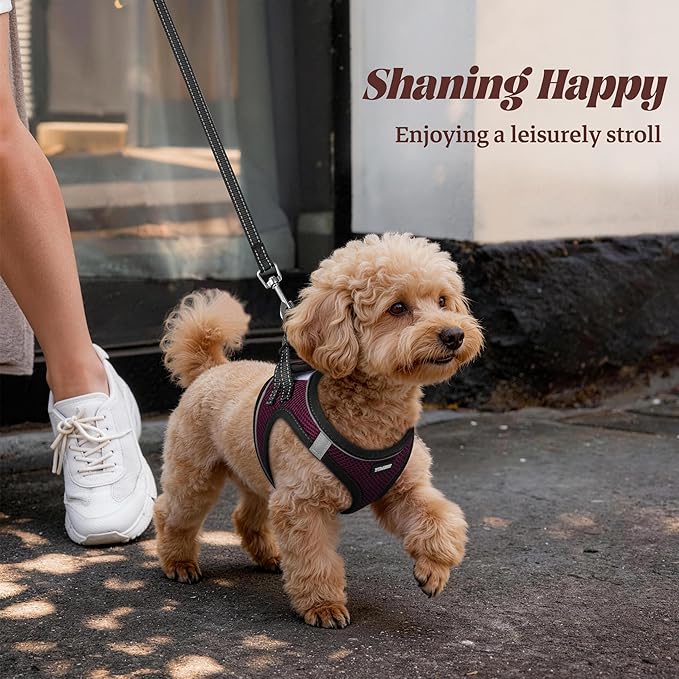 YIMEIS Dog Harness and Leash Set, No Pull Soft Mesh Pet Harness, Reflective Adjustable Puppy Vest for Small Medium Large Dogs, Cats (Grape Purple, Small (Pack of 1)