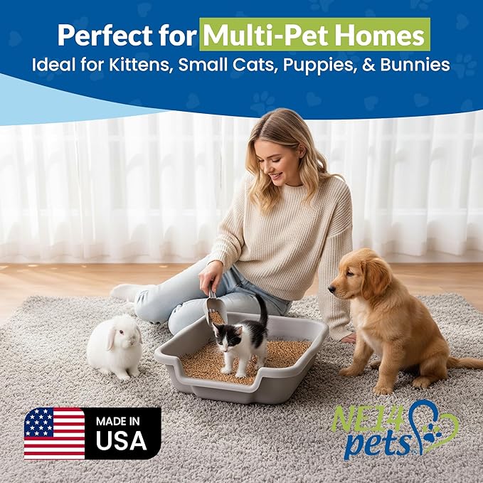 KittyGoHere Senior Cat Litter Box, Small Litter pan with Long-Handle Jumbo Scoop, Open Top Low Entrance Kitty Litters Box, Lightweight Low Entry Litter Box, Durable, Made in USA (Misty Gray)