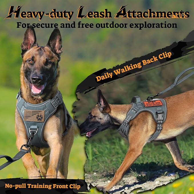 rabbitgoo Tactical Dog Harness for Small Dogs No Pull Adjustable Military Vest with Handle MOLLE Reflective Heavy Duty Dog Vest for Walking Training Hunting Outdoor Working Medium Size Dog Grey S