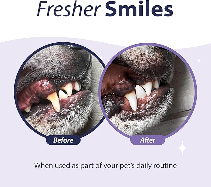 Dental Fresh Enzymatic Gel Finger Toothbrush Kit for Dogs, Includes Finger brush and Toothbrush – Teeth Cleaning