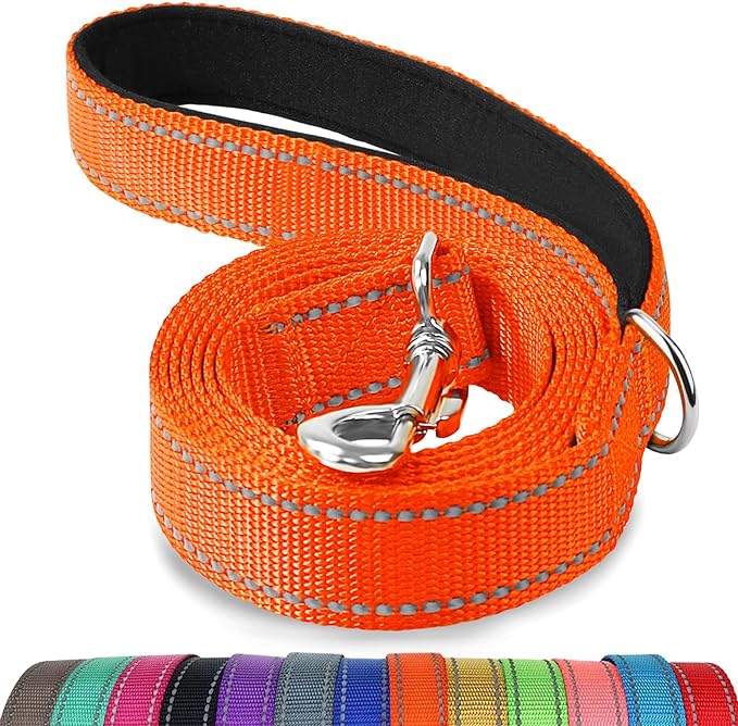 Joytale Dog Leash, 6 FT Double-Sided Reflective, Padded Handle Nylon Heavy Duty Leashes for Small Dogs Walking, Orange