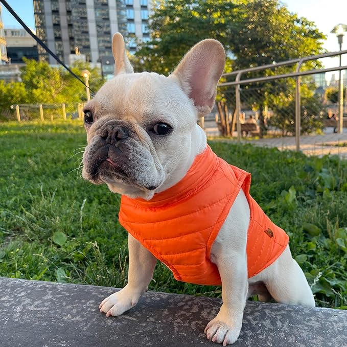 Gooby Puffer Vest - Orange, X-Large - Ultra Thin Zip Up Wind Breaker with Dual D Ring Leash - Water Resistant Small Dog Sweater Coat - Dog Clothes for Small Dogs or Medium Dogs