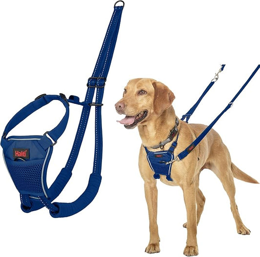 Halti No Pull Harness - Stop Your Dog Pulling on The Leash. Adjustable, Lightweight and Easy to Use. Reflective Dog Training Harness for Medium Dogs (Size M, Cobalt Blue)