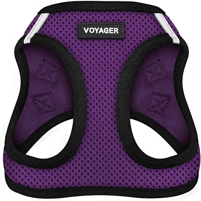Best Pet Supplies - All Weather Mesh/Plush, Reflective, No Pull Harness for Small, Medium Dogs, Cats - Secure with Hook & Loop Fastener, Buckle, Double D-Rings - Purple/Black Trim, L
