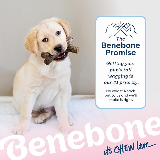 Benebone Puppy 4- Pack Durable Dog Chew Toys for Gentle Chewers, Made in USA, Small