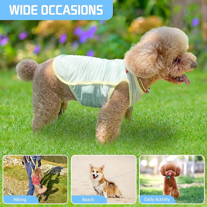 Dog Cooling Vest, Summer Pet T-Shirt, Breathable Quick-Dry Outfit for Dogs and Cats, Blue (Green, X-Large(12-16.5lb))