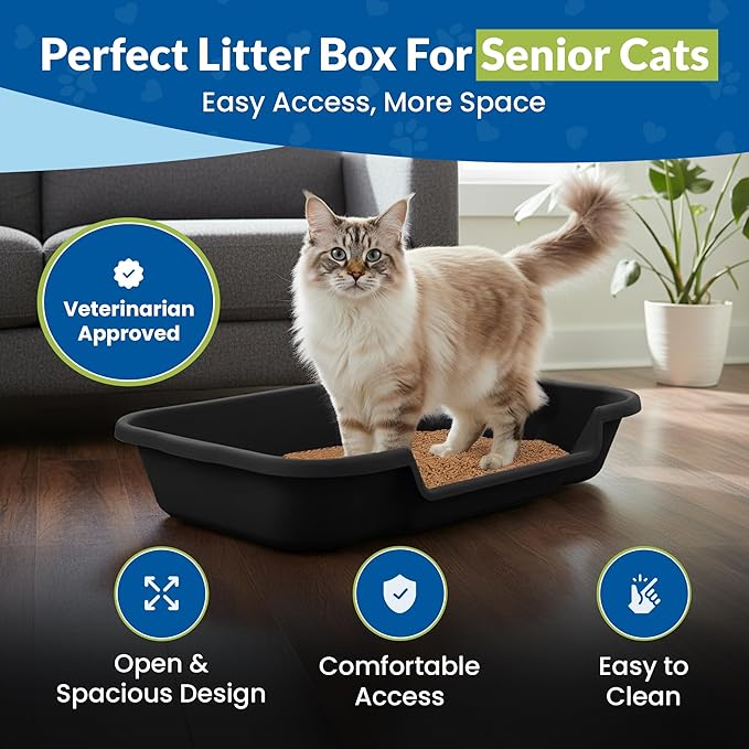 KittyGoHere Senior Cat Litter Box, Large Litter pan with Long-Handle Jumbo Scoop, Open Top Low Entrance Kitty Litter Box, Lightweight Low Entry Litters Box, Durable, Made in USA (2 Pack - Black)