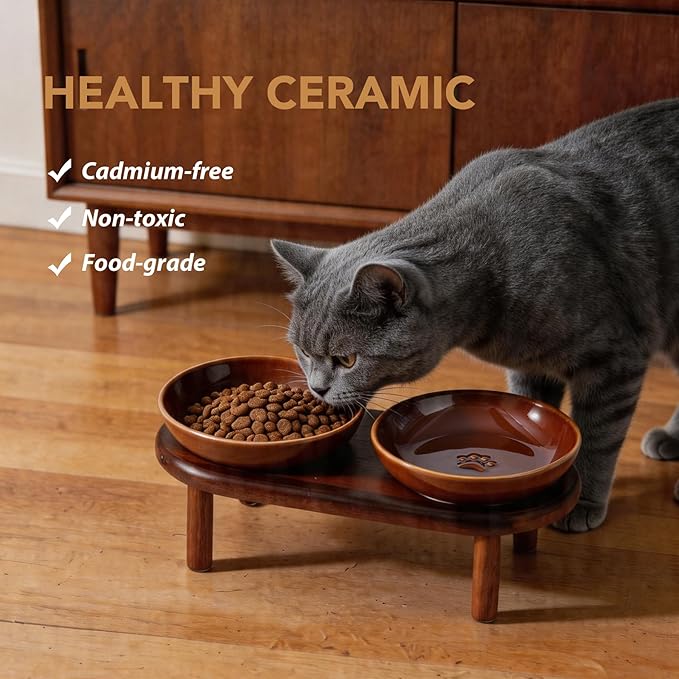 Havniva Elevated Cat Bowls Raised Ceramic Cat Bowl, 5.9” Wide Opening Cat Food Bowl Whisker Friendly Cat Dish Anti-Slip with Wood Stand, Shallow Pet Food & Water Bowl for Indoor Cats