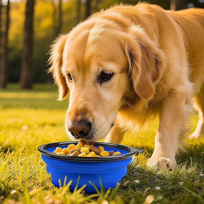 1 pcs Foldable Dog Travel Bowl with Clasp for Traveling Hiking Walking Collapsible Dog Bowl Expandable Silicone Food Water Travel Bowl for Small Medium Dog Cat