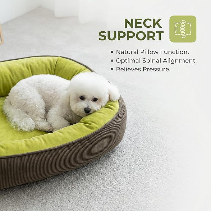 Calming Dog Bed for Medium to Large Dogs 30"x20" - Orthopedic Washable Pet Bed with Anti-Slip Bottom, Indoor Soft Cat Bed with Removable Cover (Lime Green)