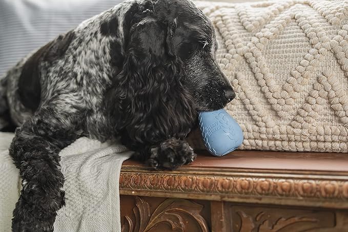 Harry Barker Durable Rubber Treater Toy - XL