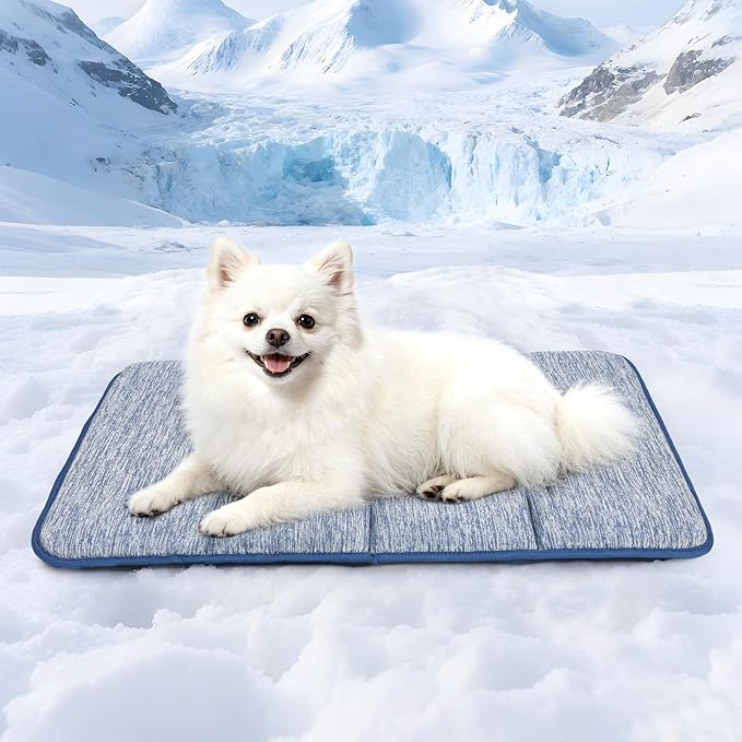 Dog Cooling Mat for Small Dogs - 24x18 Orthopedic Memory Foam Pet Pad for Summer, QMAX>0.5, Washable Premium Comfort Crate Pad for Your Furry Companion, Wander Blue
