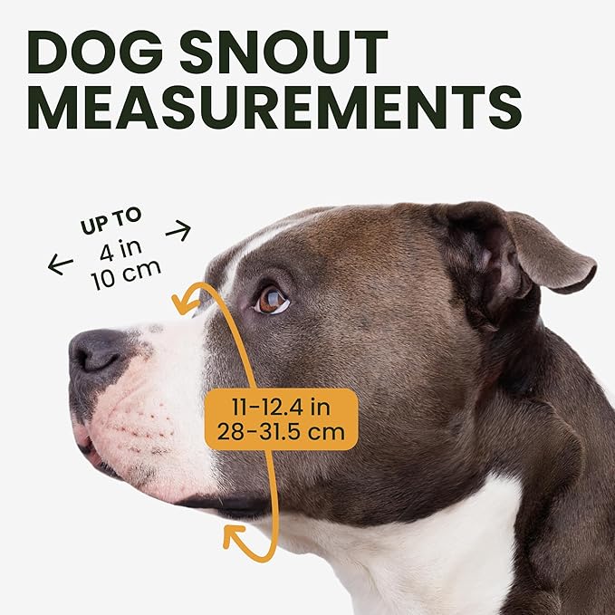 BRONZEDOG Pitbull Dog Muzzle Metal Mask Amstaff Wire Basket Pit Bull Adjustable Leather Straps for Large Dogs (Steel)