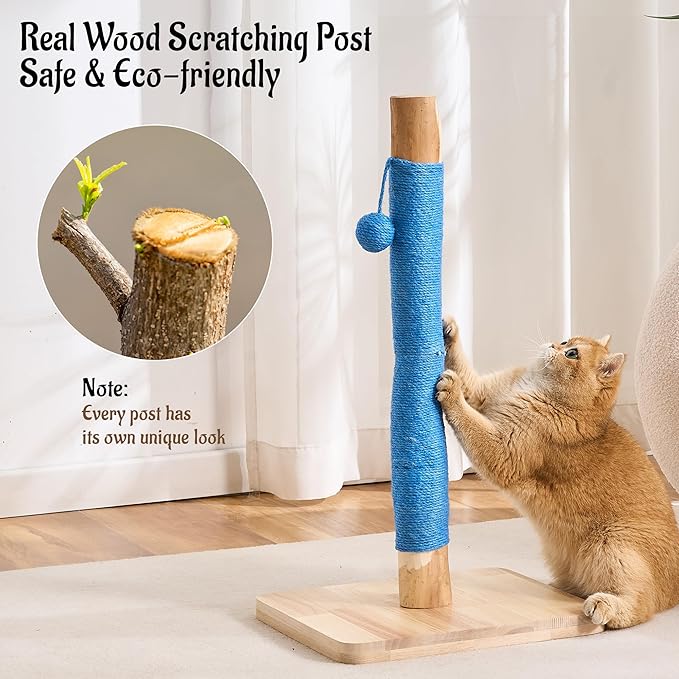 29" Tall Solid Wood Cat Scratching Post for Indoor Cats, Extra Stable Heavy Base, Natural Sisal Scratcher with Hanging Ball, Furniture Protector for Kittens & Adult Cats, Blue