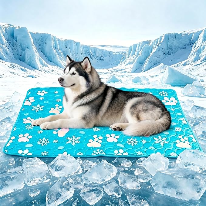 Starry Cooling Mat for Dogs Large 59'' X 39'' Dog Cooling Mat Self Coolings Thin Breathable Washable Non Slip Foldable Portable Reusable in Summer Suitable for Indoor Outdoor Blue