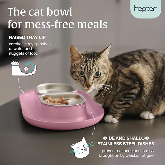 Hepper NomNom - Spill Proof Elevated Cat Bowls for Food and Water - Whisker Relief Bowl + Raised Cat Food Bowls: a Safe Dish for Messy Cats - Stainless Steel Bowl Station (Pink)