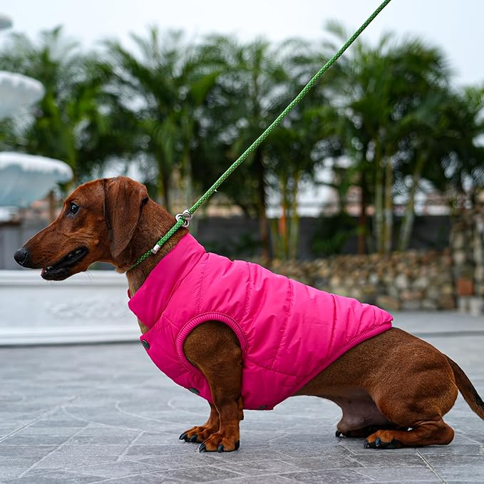 JoyDaog 2 Layers Fleece Lined Warm Dog Jacket for Winter Cold Weather,Soft Windproof Large Dog Coat,Pink XXL
