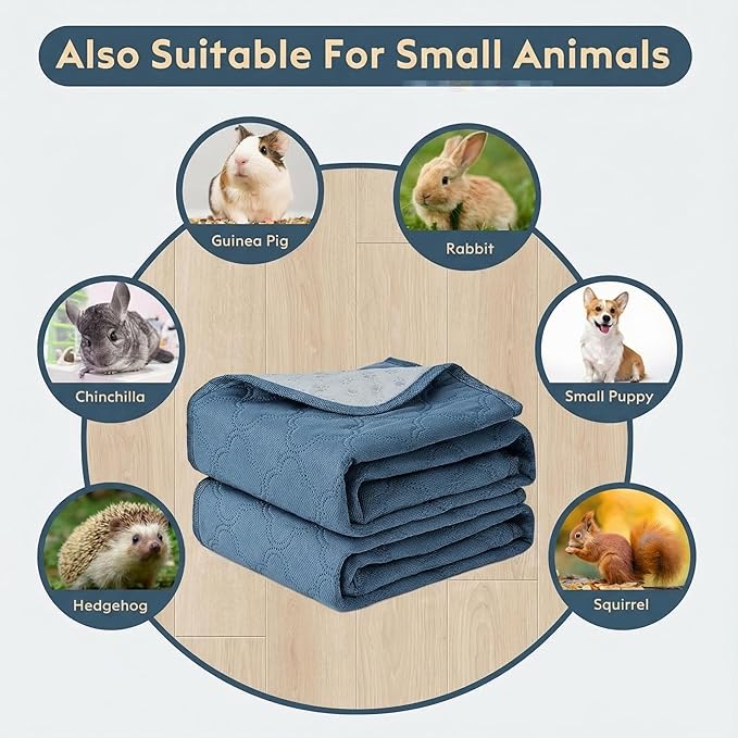 FunFurry Washable Pee Pads for Dogs - 2 Pack Reusable Pee Pads，Waterproof Puppy Pads，Pet Training Pads，Super Absorbent with Dog Paw Shape Non-Slip Backing (Blue, 24" X 24" - 2 Pack)