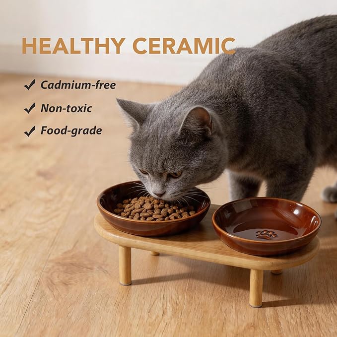 Havniva Elevated Cat Bowls Raised Ceramic Cat Bowl, 5.9” Wide Opening Cat Food Bowl Whisker Friendly Cat Dish Anti-Slip with Bamboo Stand, Shallow Pet Food & Water Bowl for Indoor Cats