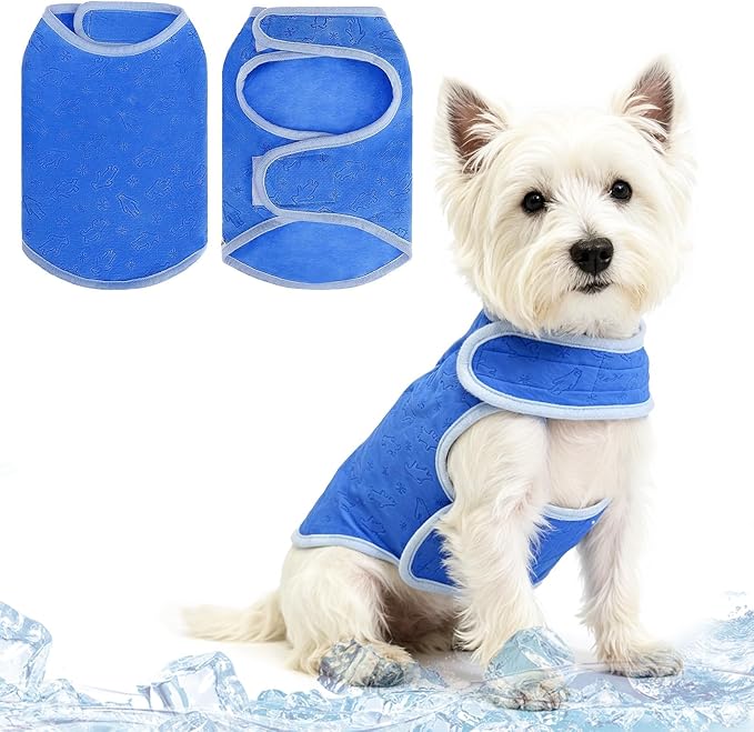 PUPTECK Dog Cooling Vest, Breathable Mesh PVA Dog Shirt, Lightweight Soft Instant Chill Sleeveless Pet Clothes, Adjustable Cooler Jacket Puppy Outfit for Hot Summer Outdoor, Blue Bear S