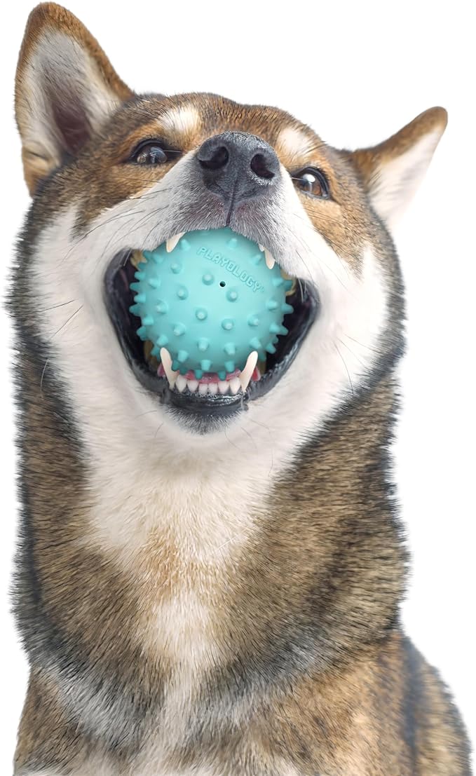 Playology Dog Toys | Squeaky Spiky Chew Ball for Medium Dogs | Peanut Butter Scented Dog Ball for Tough Chewers