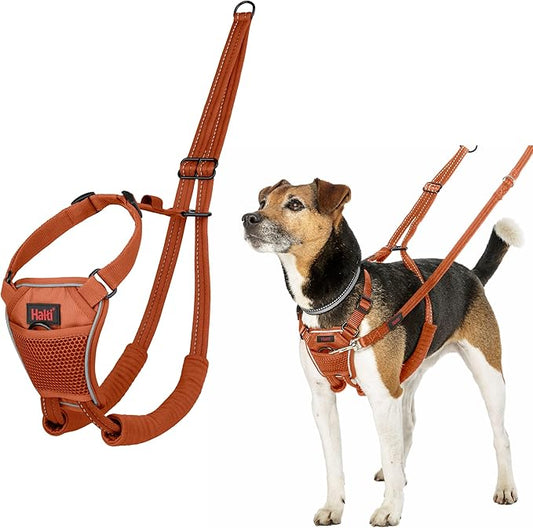Halti No Pull Harness - Stop Your Dog Pulling on the Leash. Adjustable, Lightweight and Easy to Use. Reflective Dog Training Harness for Toy and Small Dogs (Size XS, Burnt Orange)