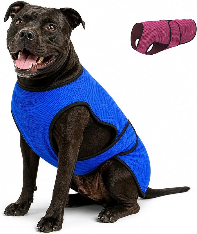 Dog Cooling Vest – Lightweight Evaporative Shirt with UV Protection for Small, Medium, and Large Dogs – Breathable Soft Fabric for Hot Weather (XL, Dark Blue)