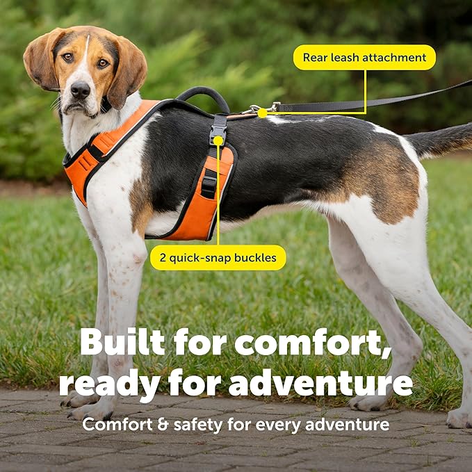 PetSafe EasySport Dog Harness Adjustable, Padded Dog Harness with Control Handle and Reflective Piping Large, Orange