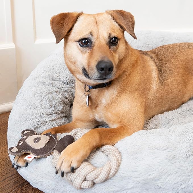 SPOT Dura-Fused Leather Animal Rings - Rope Dog Toy, Made with Real Leather and Jute Fabric, Durable Rope Ring is Great for Tugging and Chewing - 11in, Assorted Styles, 1 Piece