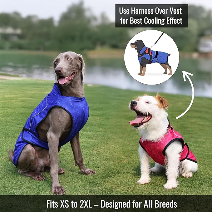 Dog Cooling Vest with Ice Pack – 2-Layer Evaporative Cooling Jacket with High Collar, UV Protection & Size-Matched Ice Pack – Cooling Vest for Dogs for Hot Weather (Pink Floral, Small)