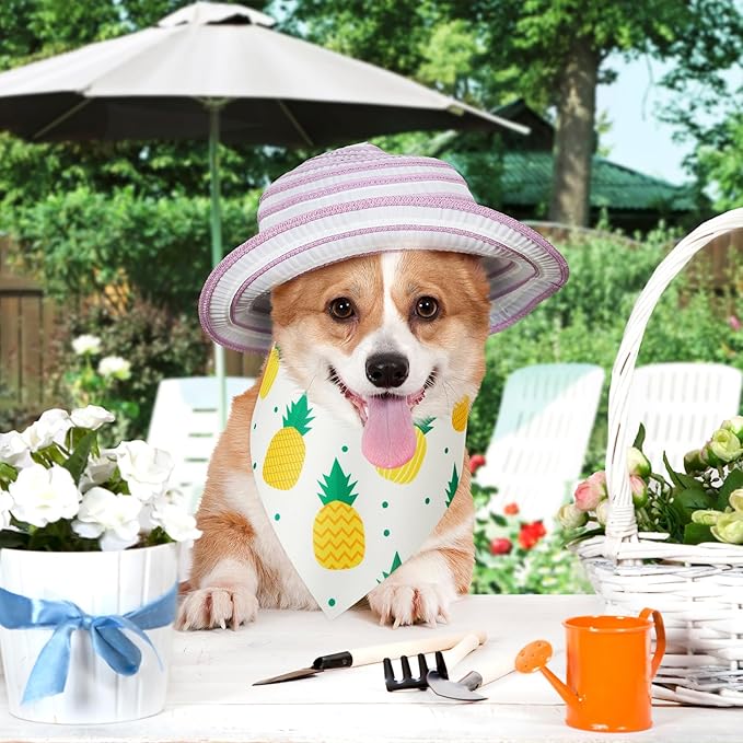 Weewooday 50 Pcs Fruit Dog Bandanas Bulk for Summer Soft Bibs Adjustable Triangle pet Bandana for Small Medium Large Costume(Fruits Pattern, 19.7 x 13.8 x 13.8 Inch)