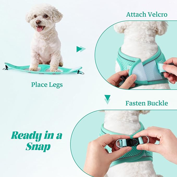 YIMEIS Dog Harness and Leash Set, No Pull Soft Mesh Pet Harness, Reflective Adjustable Puppy Vest for Small Medium Large Dogs, Cats (Tiffany Blue, X-Small (Pack of 1)