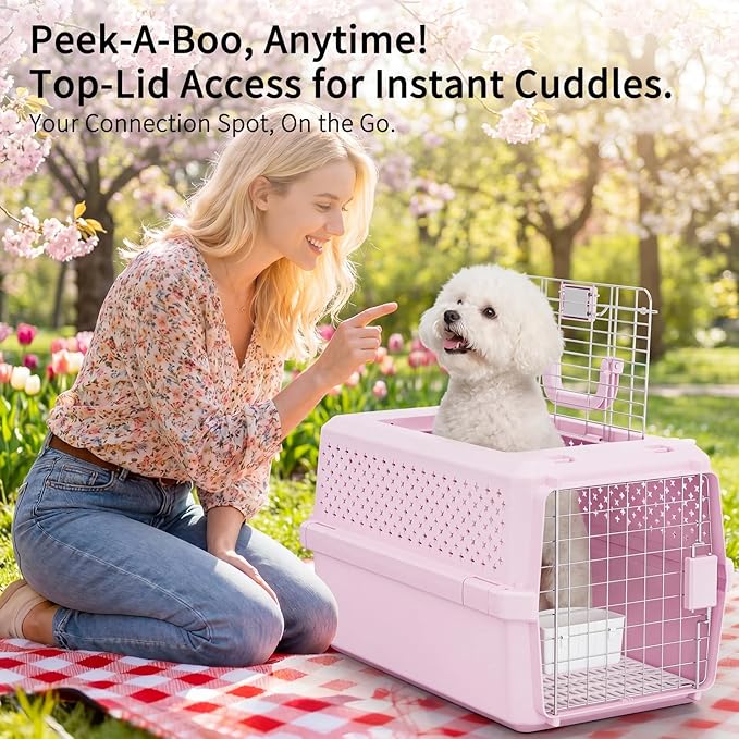 RIZZARI Medium Cat Carrier for Cats & Small Dogs: Durable Hard-Sided Pet Carrier with Ventilated Design -Metal Door & Portable Handle for Safe Travel and Daily Transport (Pink, Medium)