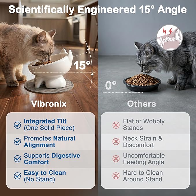 2 Pack Anti-Vomit Elevated Ceramic Cat Bowls with 2 Non-Slip Mats – Ceramic Whisker-Friendly Tilted Orthopedic Feeding Set, Ideal for Senior Cats & Small Dogs