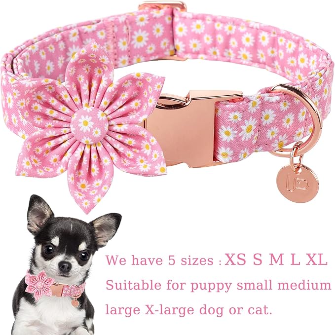 Summer Cotton Cute Pink Flower Collar for Small Dogs, Comfortable Blue Collar with Metal Buckle, S, Neck 10-16in