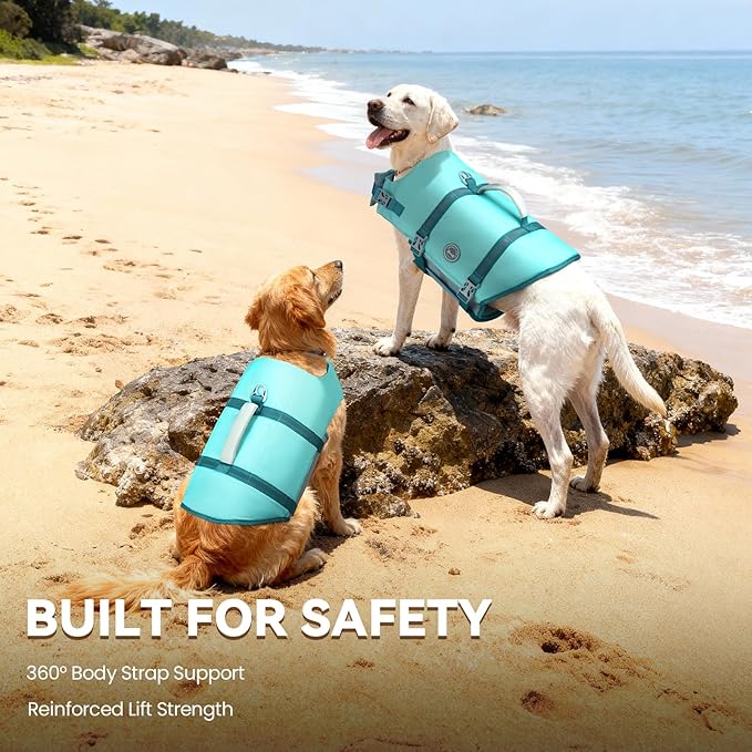 VIVAGLORY Rip Stop Dog Life Vest, Swimming Vest with Handle, Buoyancy for Doggy Puppy, Dog Life Jacket for Swimming & Boating, S, Cyan
