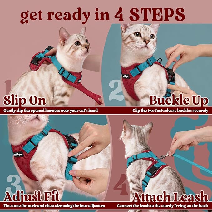 rabbitgoo Cat Harness and Leash Set, Escape Proof Vest Harness for Safe Outdoor Walks, Soft Breathable Adjustable Vest with Reflective Strips for Small and Average Cats, Red & Teal, S