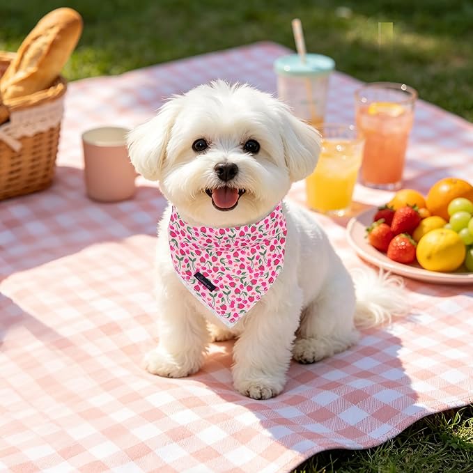 ARING PET Girl Dog Bandanas, Cute Summer Strawbery Cherry Pet Bandana Scarf Triangle Bib for Small Medium Large Female Dogs Cats, Puppy Kerchief for Daily Wear Walks Party Photos-S