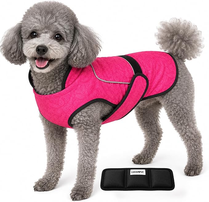 Dog Cooling Vest with Ice Pack – 2-Layer Evaporative Cooling Jacket with High Collar, UV Protection & Size-Matched Ice Pack – Cooling Vest for Dogs for Hot Weather (Pink Floral, X-Small)