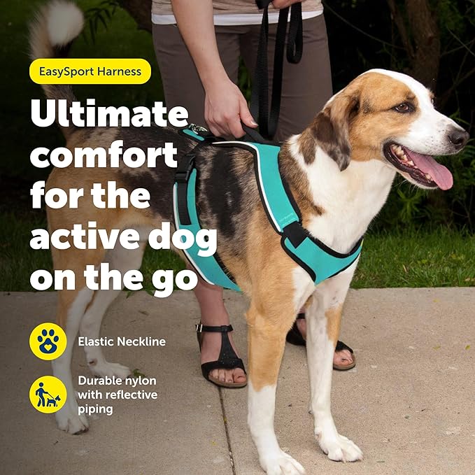PetSafe EasySport Harness Padded Straps Fully Adjustable Elastic Neckline Best for Athletic Dogs Top Handle for Quick Control - Large - Teal