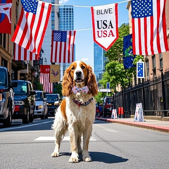 Lionet Paws 4th of July Dog Collar with Bowtie, Cute Summer Dog Collar for Girl for Medium Dogs, Adjustable Cotton USA Flag Pet Collars for Small Medium Dogs