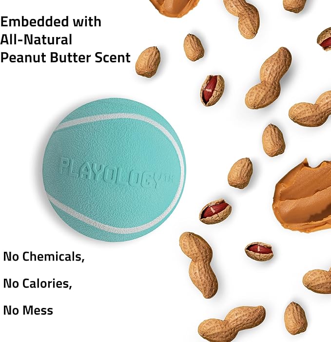 Playology Dog Toys | Squeaky Chew Ball for Dogs, Value 3-Pack | Peanut Butter Scented Small Dog Balls | Bouncy Floating Chew Toys for Fetch