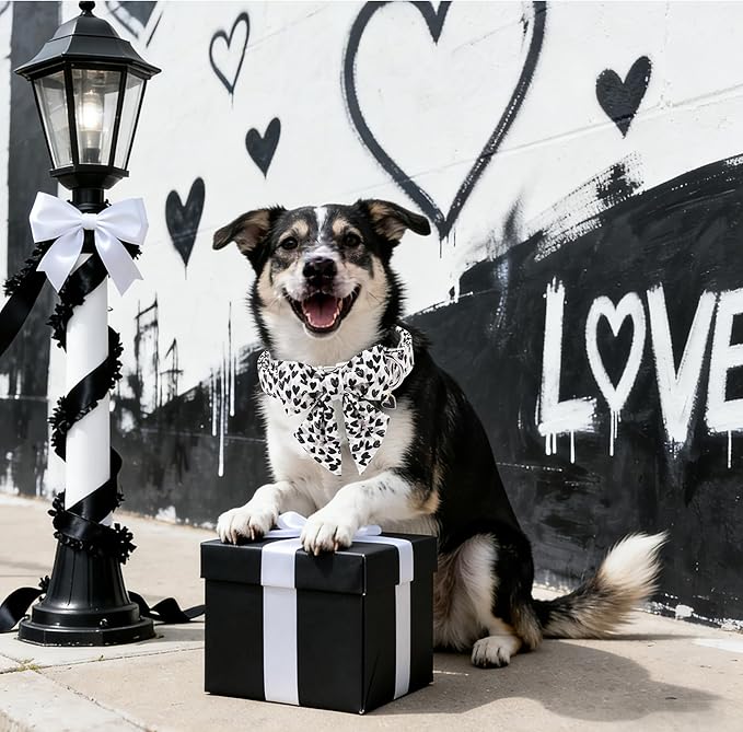 DOGWONG Valentine Dog Collar with Bow, Metal Buckle Adjustable Heart Bowtie Pet Valentine Collars for Small Dogs,M