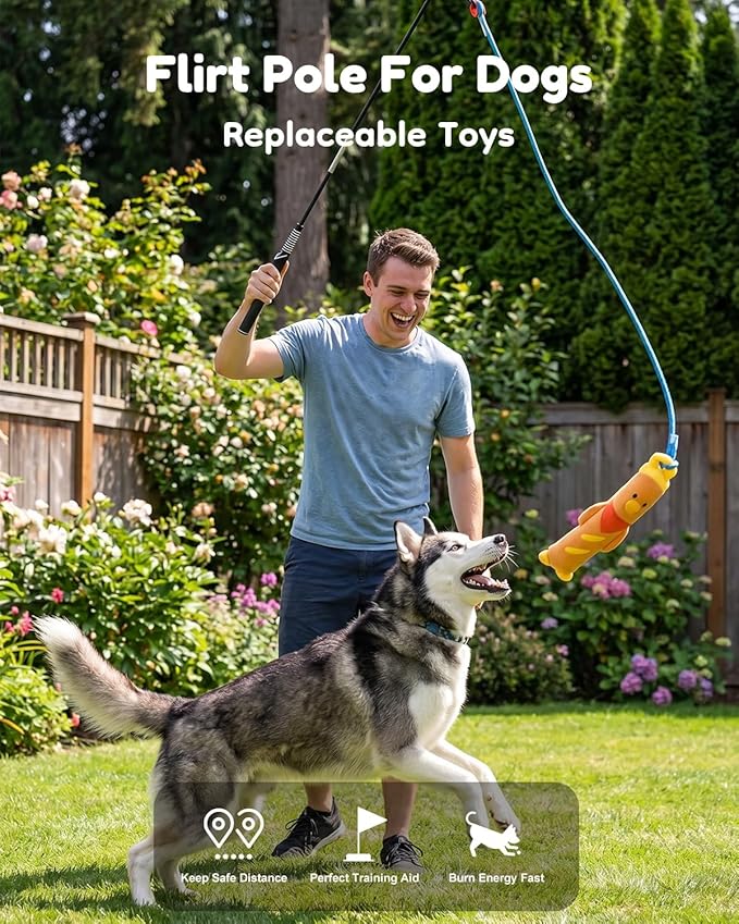BurgeonNest Flirt Pole for Dogs, Interactive Dog Toy for Medium Small Dogs, with Replaceable Yellow Duck Toy & 2 Rope Toys, Dog Exercise Pole for Outdoor Training & Chase