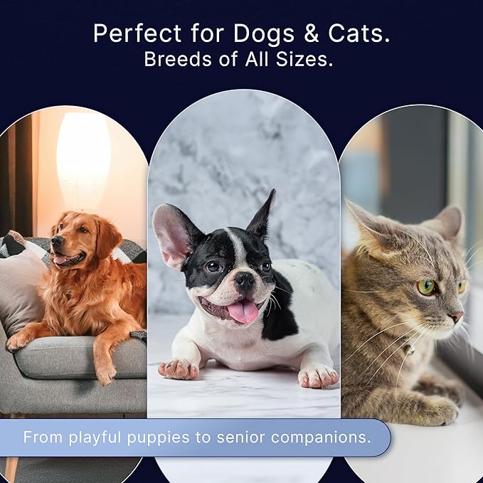 Professional Dog Nail Clippers for Large Dogs - to Small Dogs Clippers & Cats with Safety Guard & Ergonomic Easy Grip, Dog Nail Trimmer for Large Dogs Nail Clippers and Safe Cat Nail Clippers