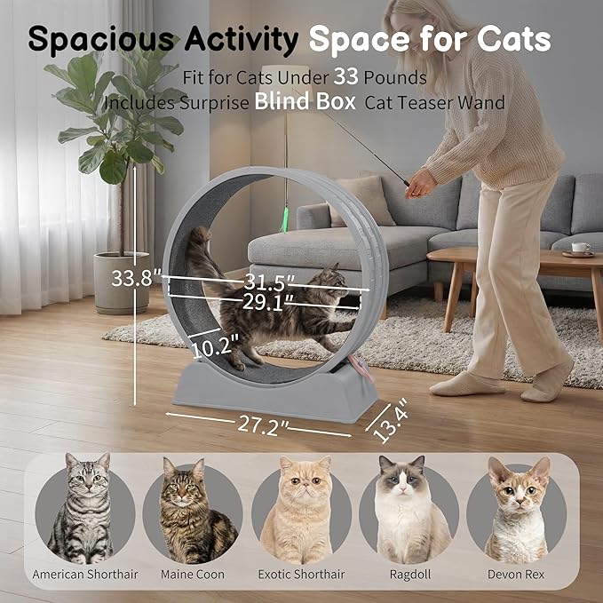 Outvita Cat Exercise Wheel for Indoor Cats, 31.5" Cat Treadmill with Detachable Carpet ＆ Locking Mechanism, Cats Running Wheel Helps Cats to Lose Weight and Keep Health, Easy Assembled (Gray)